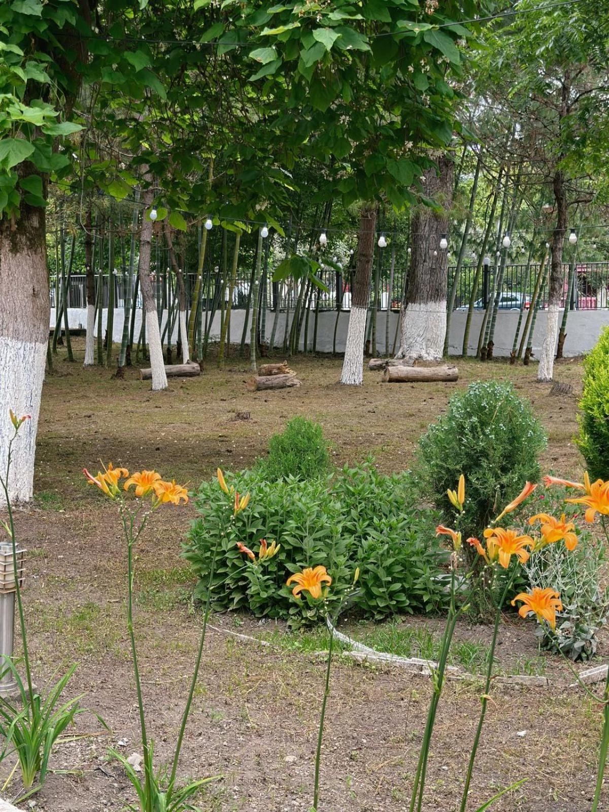 Hotel Solidarity Kobuleti Exterior foto